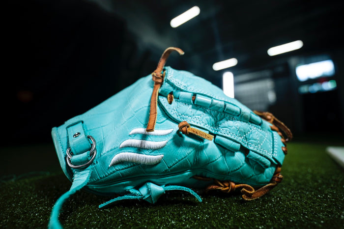 Emery Glove 2